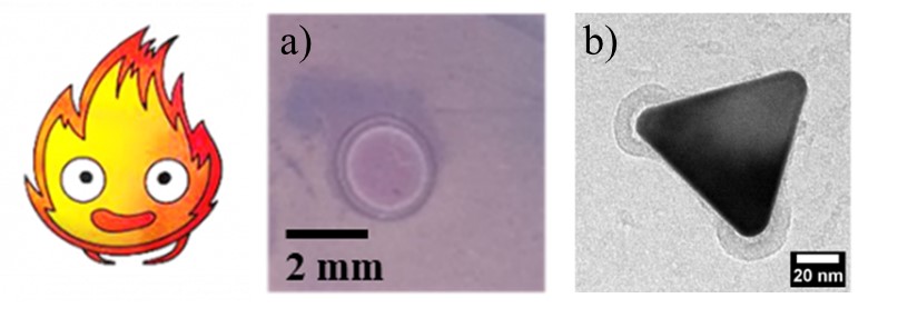 Thermal polymerization